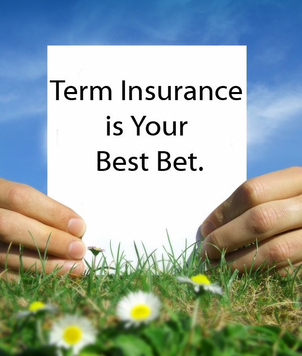 Coming to terms with term insurance 7